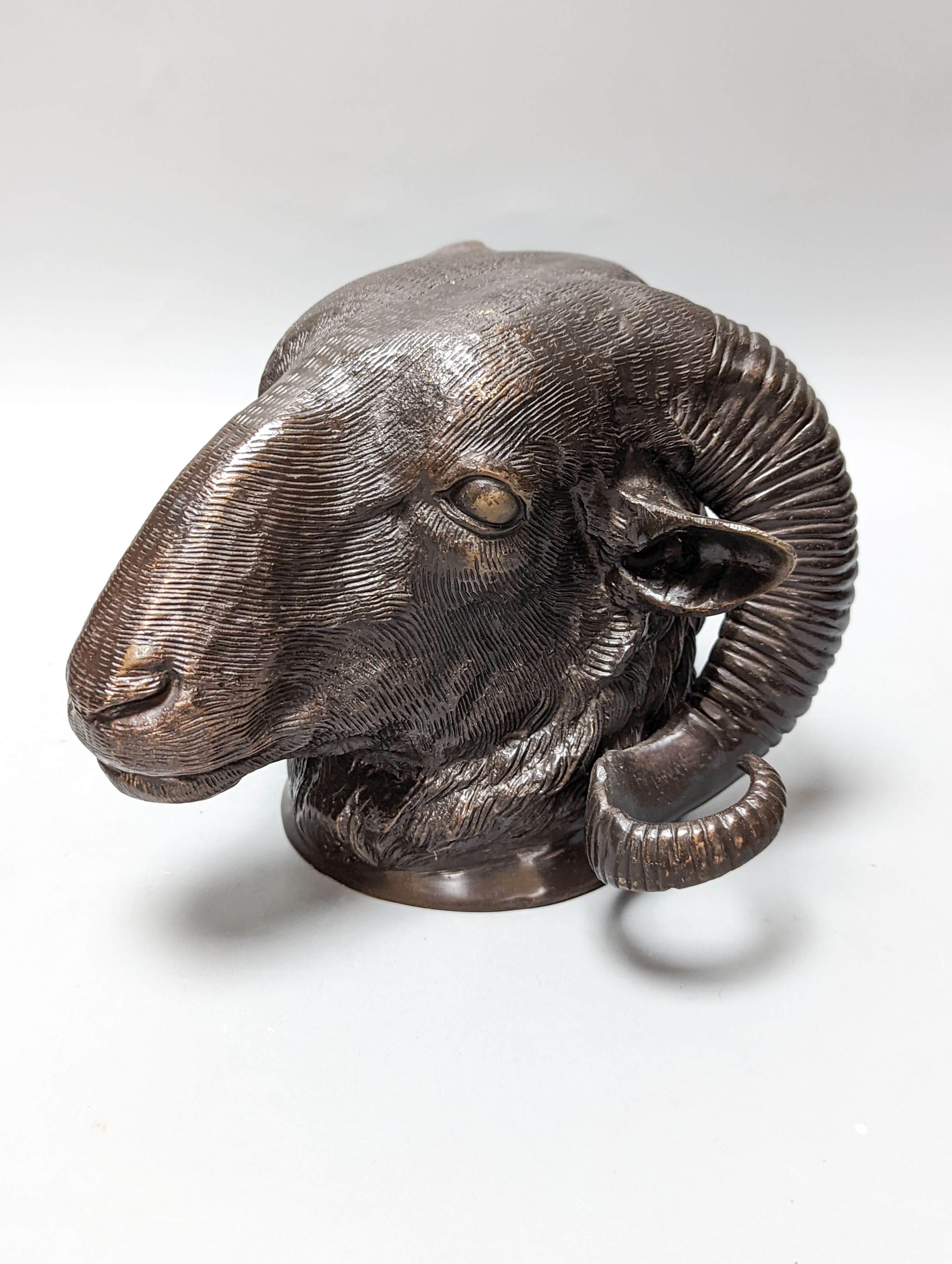 A bronze ram's head and a bronze relief